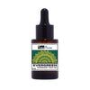 Evergreen Overnight Face Oil, Anti-Aging Face Serum with Bakuchiol, Brown Algae & Turmeric Extract, Hydrating and Brightening Oil for Wrinkles and Fine Lines, Lightweight and Non-Greasy Formula (30ml)