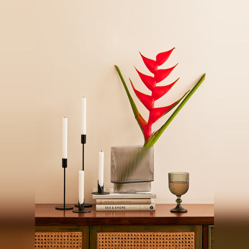 Smokey Fluted Vase, Glass with Classic Fluted Design and Elegant Dark Grey Finish, Perfect for Dried Pampas or Fresh Flowers, Ideal for Enhancing Entrance, Living Rooms, and Dining Spaces, Stylish Home D����cor Accent (Grey)