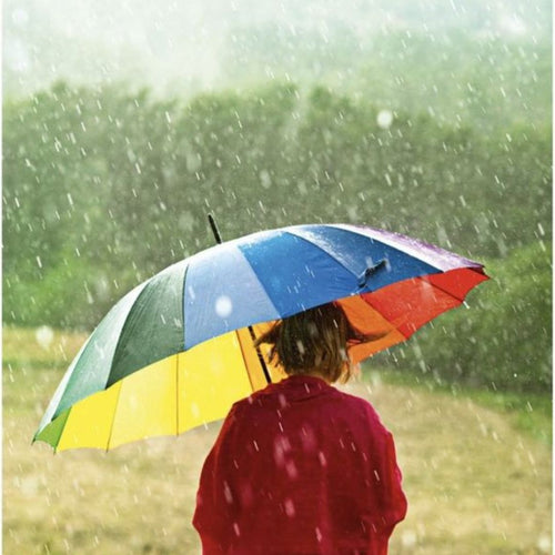 Rainbow Umbrella �������� Stylish, Durable, Steel Frame, Strong Ribs, Perfect for Stormy Days, Affordable, Keeps You Dry and Stylish